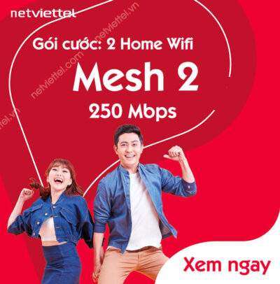 Gói lắp mạng viettel Mesh 2 (250 Mbps)